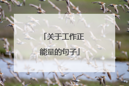 关于工作正能量的句子