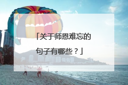 关于师恩难忘的句子有哪些？