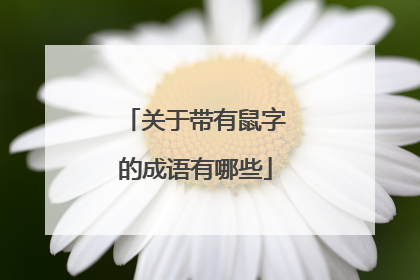 关于带有鼠字的成语有哪些