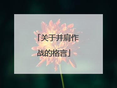 关于并肩作战的格言