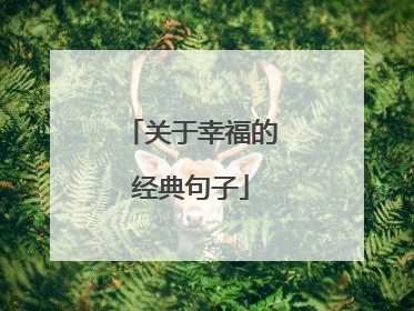 关于幸福的经典句子