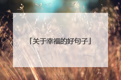 关于幸福的好句子