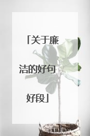 关于廉洁的好句好段