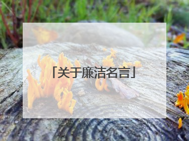 关于廉洁名言