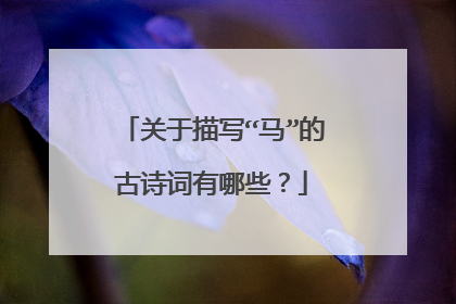 关于描写“马”的古诗词有哪些？