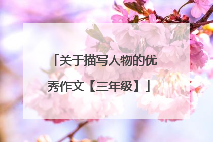 关于描写人物的优秀作文【三年级】