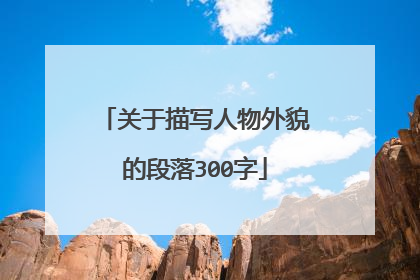 关于描写人物外貌的段落300字