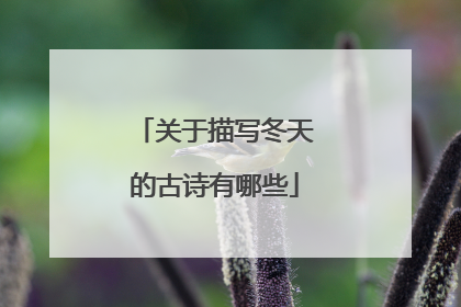 关于描写冬天的古诗有哪些