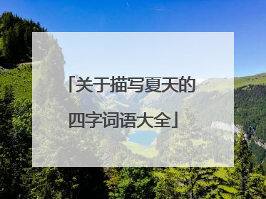 关于描写夏天的四字词语大全