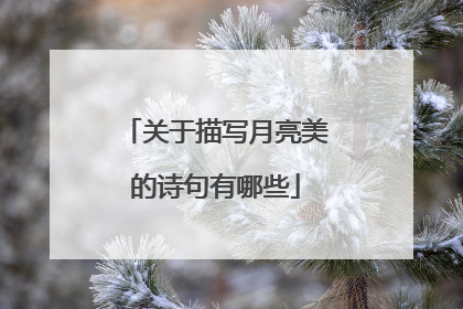 关于描写月亮美的诗句有哪些