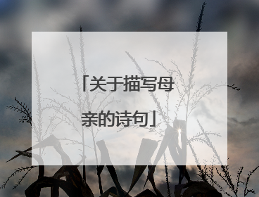 关于描写母亲的诗句