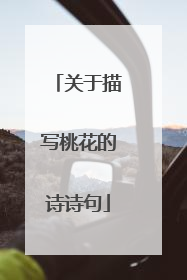关于描写桃花的诗诗句
