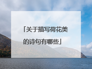 关于描写荷花美的诗句有哪些