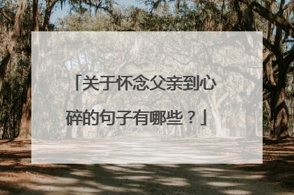 关于怀念父亲到心碎的句子有哪些?
