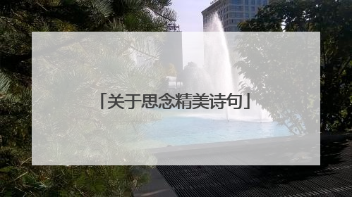 关于思念精美诗句