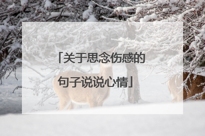 关于思念伤感的句子说说心情