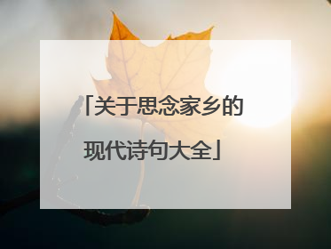 关于思念家乡的现代诗句大全