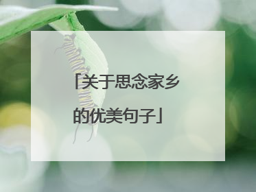 关于思念家乡的优美句子