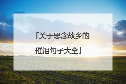 关于思念故乡的催泪句子大全