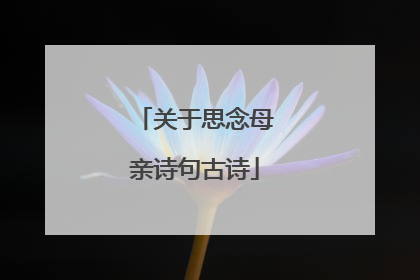 关于思念母亲诗句古诗