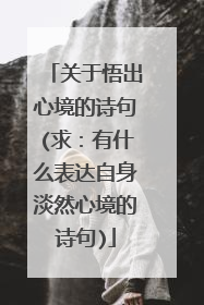 关于悟出心境的诗句(求:有什么表达自身淡然心境的诗句)
