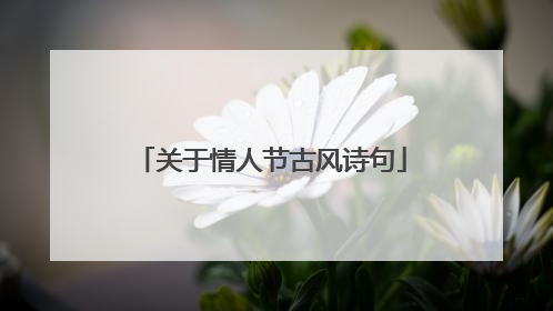 关于情人节古风诗句