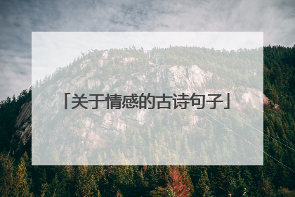 关于情感的古诗句子
