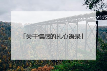 关于情感的扎心语录