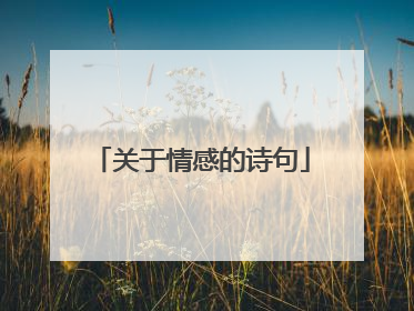 关于情感的诗句