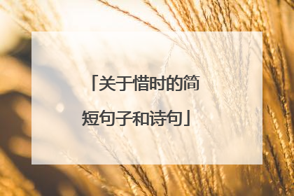 关于惜时的简短句子和诗句