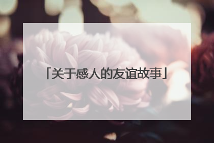 关于感人的友谊故事