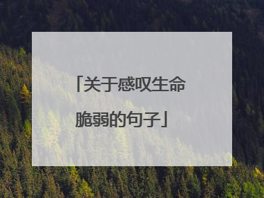 关于感叹生命脆弱的句子