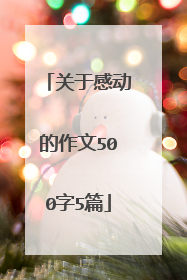 关于感动的作文500字5篇