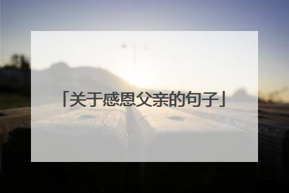 关于感恩父亲的句子