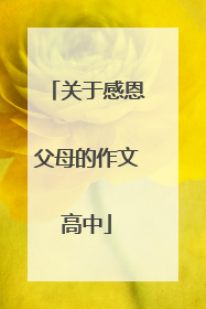 关于感恩父母的作文高中