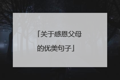 关于感恩父母的优美句子