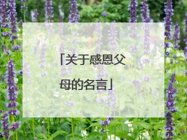 关于感恩父母的名言