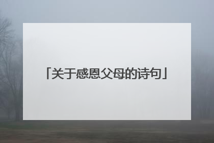 关于感恩父母的诗句