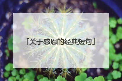 关于感恩的经典短句