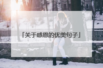 关于感恩的优美句子