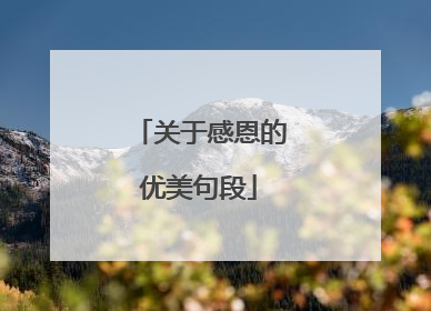 关于感恩的优美句段
