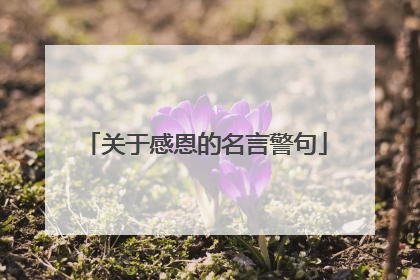 关于感恩的名言警句