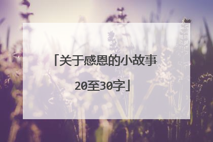关于感恩的小故事 20至30字