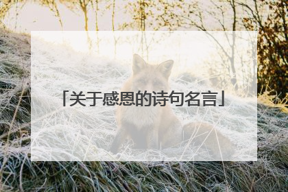 关于感恩的诗句名言
