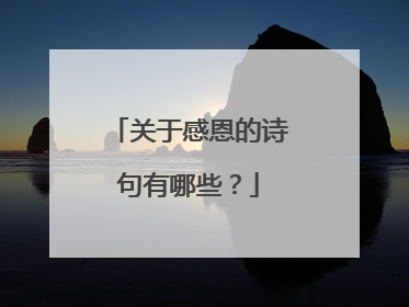 关于感恩的诗句有哪些?