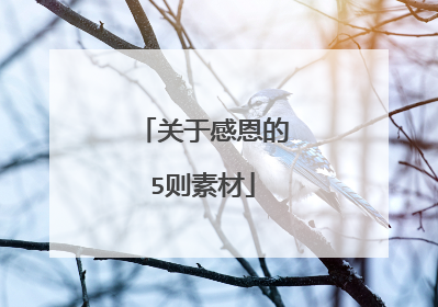 关于感恩的5则素材