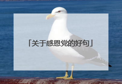 关于感恩党的好句