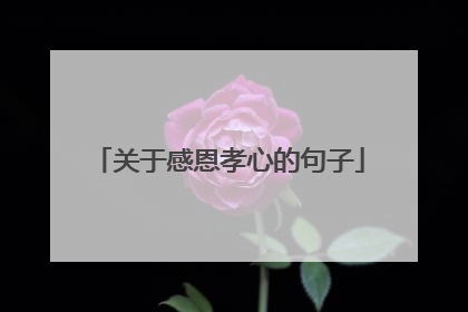 关于感恩孝心的句子