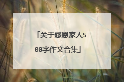 关于感恩家人500字作文合集