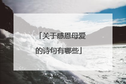 关于感恩母爱的诗句有哪些